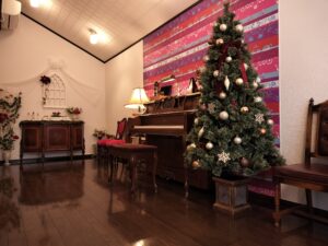 スタジオ_クリスマスツリー