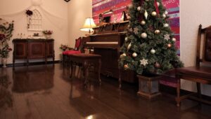 スタジオ_クリスマスツリー